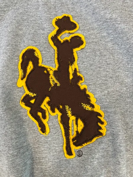 Gray shirt with a distressed brown appliqué bucking horse edged in gold